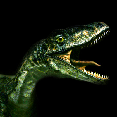 Joku Dino